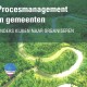 afbeelding-procesmanagement-in-gemeenten